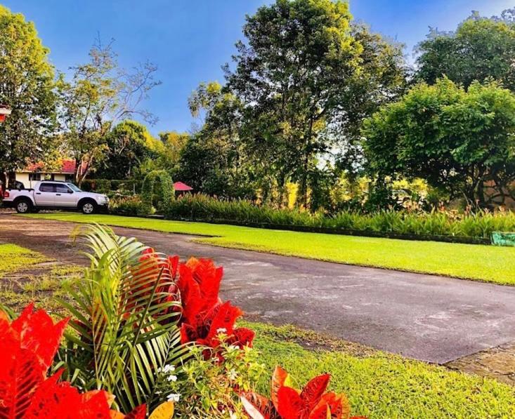 Befox Adventure Hotel La Fortuna Exterior photo