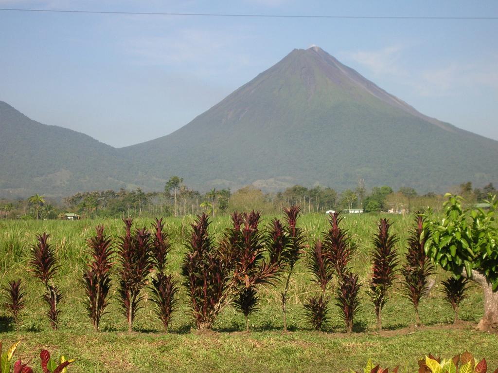 Befox Adventure Hotel La Fortuna Exterior photo